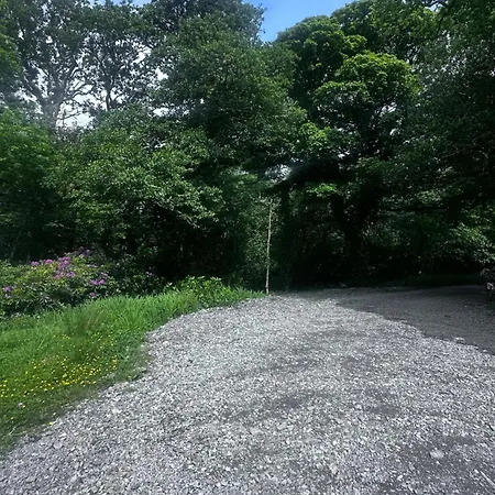 住宿加早餐酒店 Old School House